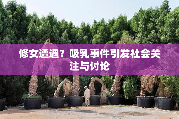 修女遭遇？吸乳事件引发社会关注与讨论