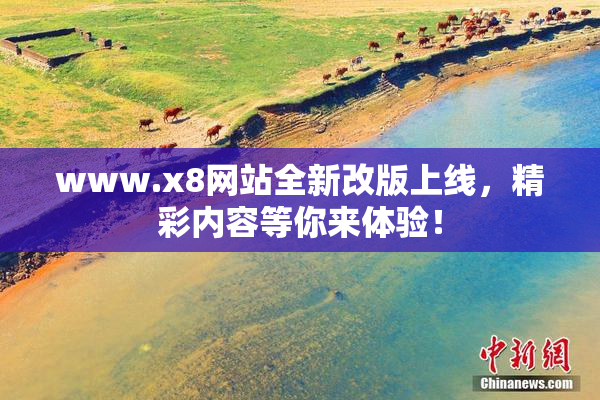www.x8网站全新改版上线，精彩内容等你来体验！