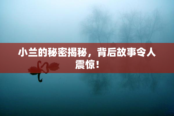 小兰的秘密揭秘，背后故事令人震惊！