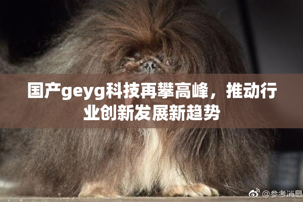 国产geyg科技再攀高峰，推动行业创新发展新趋势