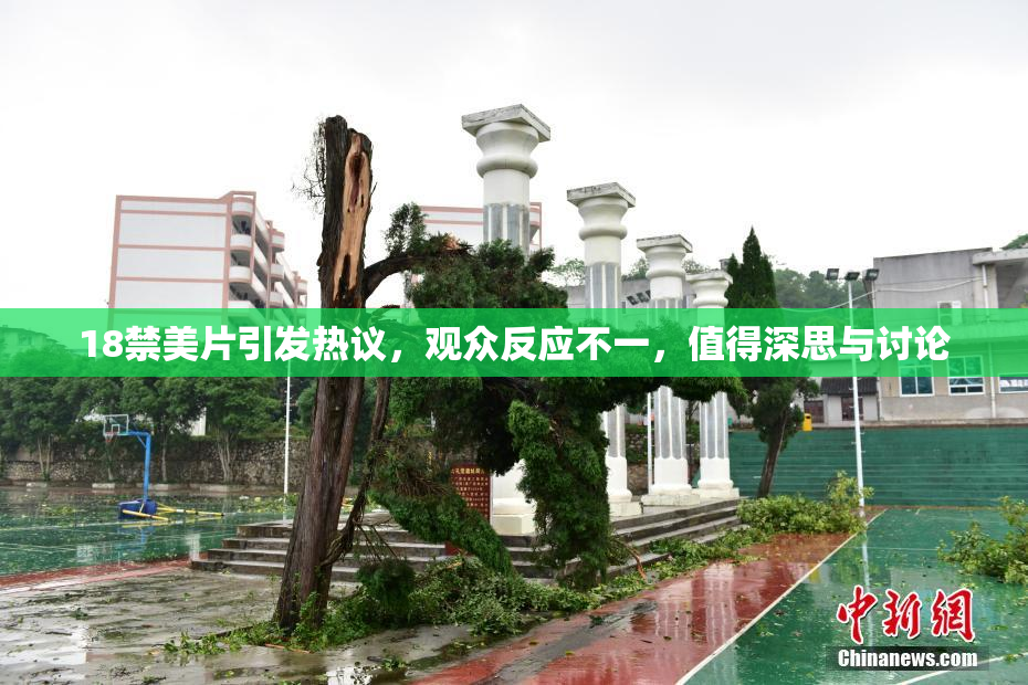 18禁美片引发热议，观众反应不一，值得深思与讨论