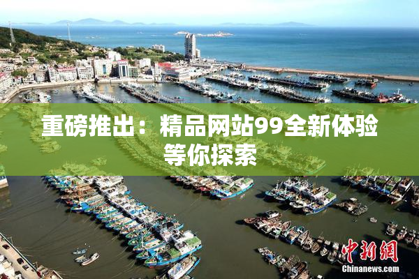 重磅推出：精品网站99全新体验等你探索