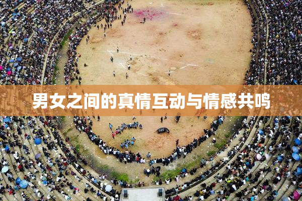 男女之间的真情互动与情感共鸣