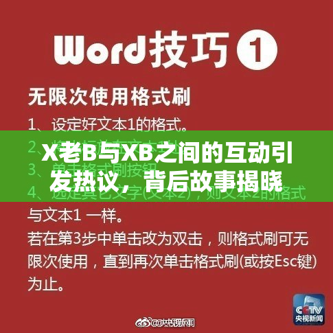 X老B与XB之间的互动引发热议，背后故事揭晓