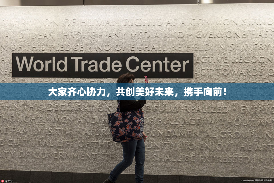 大家齐心协力，共创美好未来，携手向前！