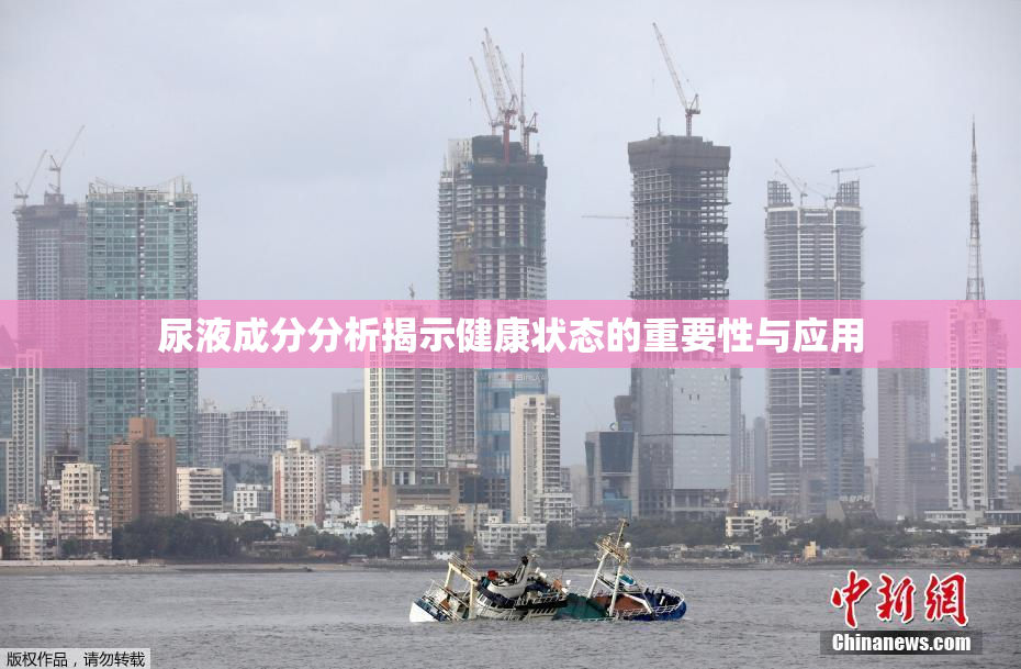 尿液成分分析揭示健康状态的重要性与应用