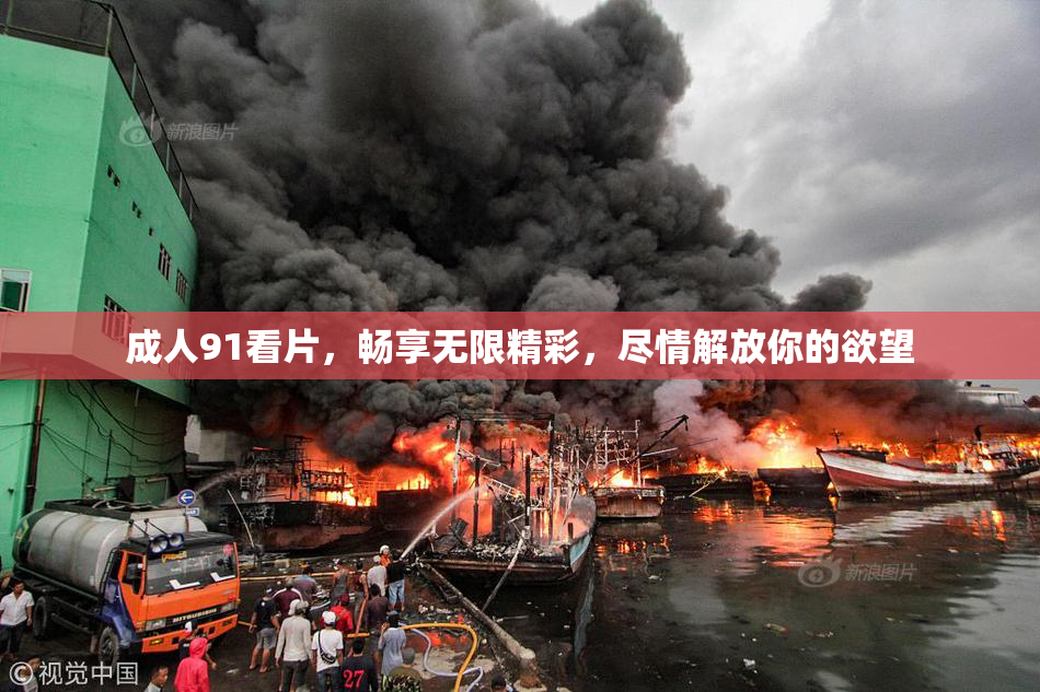 成人91看片，畅享无限精彩，尽情解放你的欲望