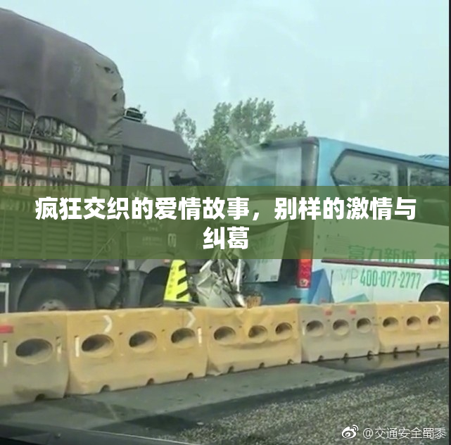 疯狂交织的爱情故事，别样的激情与纠葛