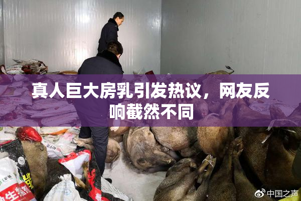 真人巨大房乳引发热议，网友反响截然不同