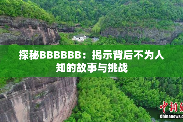 探秘BBBBBB：揭示背后不为人知的故事与挑战