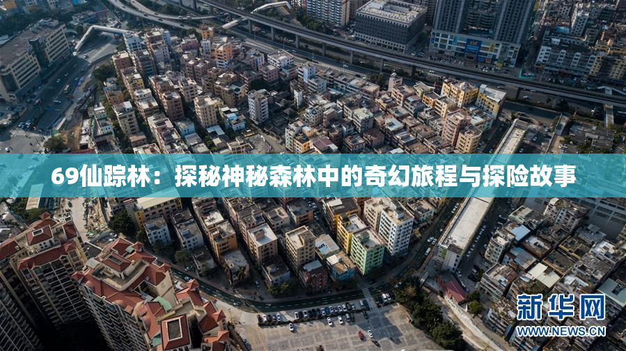69仙踪林：探秘神秘森林中的奇幻旅程与探险故事