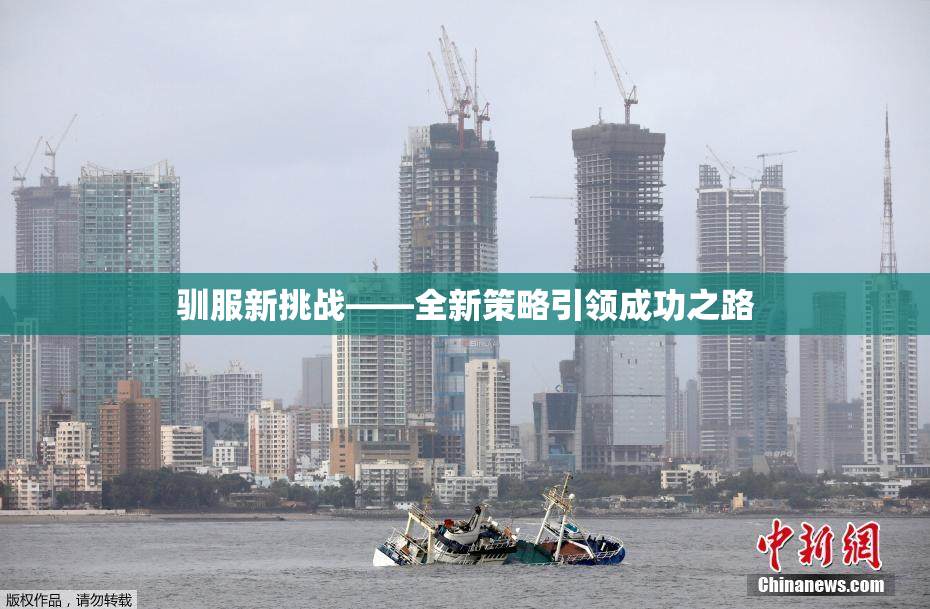 驯服新挑战——全新策略引领成功之路