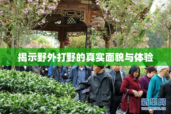 揭示野外打野的真实面貌与体验