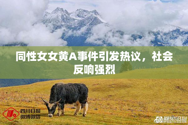 同性女女黄A事件引发热议，社会反响强烈