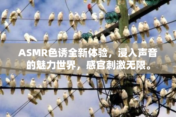 ASMR色诱全新体验，浸入声音的魅力世界，感官刺激无限。