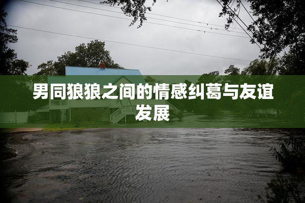 男同狼狼之间的情感纠葛与友谊发展