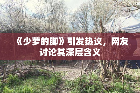 《少萝的脚》引发热议，网友讨论其深层含义