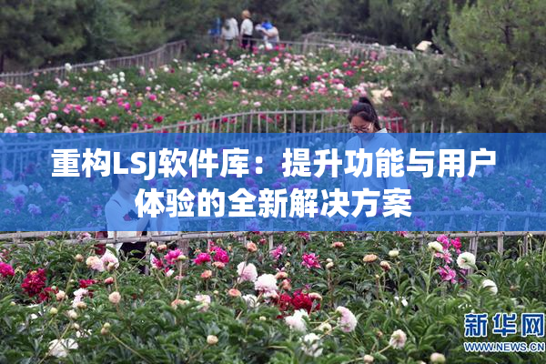 重构LSJ软件库：提升功能与用户体验的全新解决方案