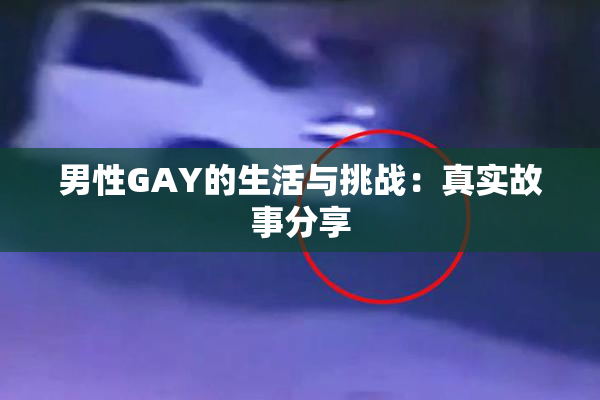 男性GAY的生活与挑战：真实故事分享