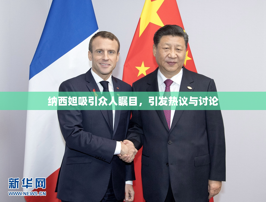 纳西妲吸引众人瞩目，引发热议与讨论