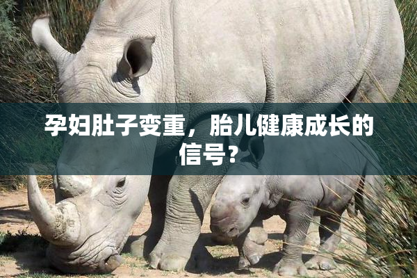孕妇肚子变重，胎儿健康成长的信号？