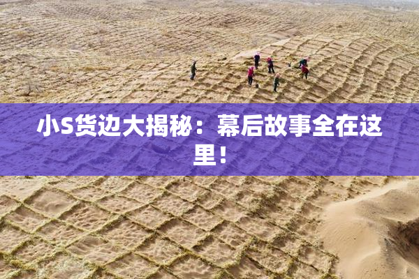 小S货边大揭秘：幕后故事全在这里！