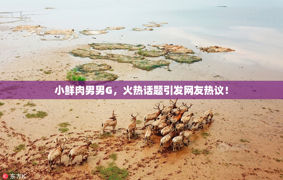小鲜肉男男G，火热话题引发网友热议！
