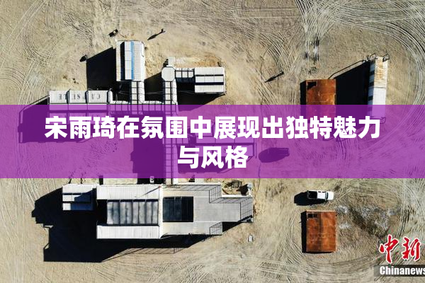宋雨琦在氛围中展现出独特魅力与风格