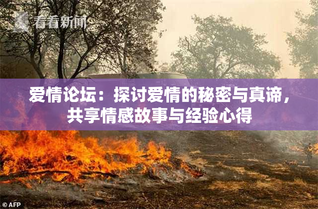 爱情论坛：探讨爱情的秘密与真谛，共享情感故事与经验心得