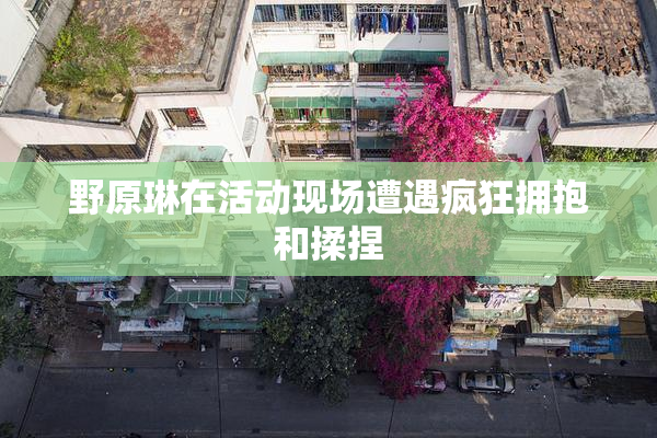野原琳在活动现场遭遇疯狂拥抱和揉捏