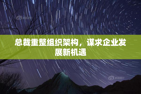 总裁重整组织架构，谋求企业发展新机遇