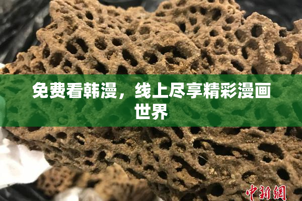 免费看韩漫，线上尽享精彩漫画世界