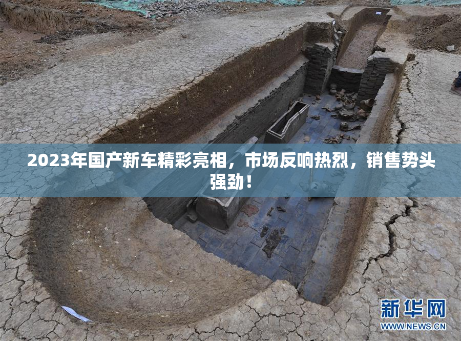 2023年国产新车精彩亮相，市场反响热烈，销售势头强劲！