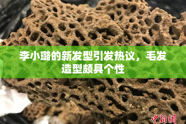 李小璐的新发型引发热议，毛发造型颇具个性