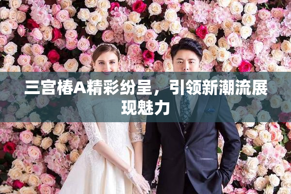 三宫椿A精彩纷呈，引领新潮流展现魅力