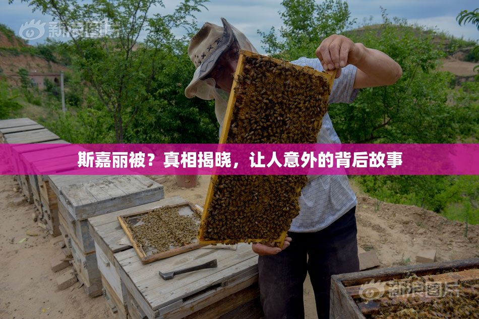 斯嘉丽被？真相揭晓，让人意外的背后故事