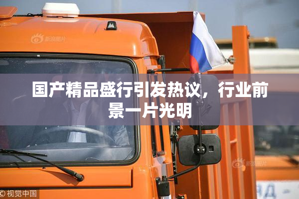 国产精品盛行引发热议，行业前景一片光明