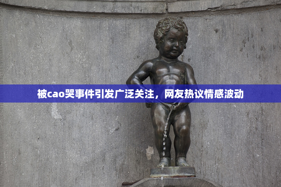 被cao哭事件引发广泛关注，网友热议情感波动
