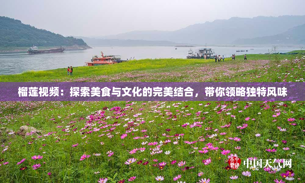 榴莲视频：探索美食与文化的完美结合，带你领略独特风味
