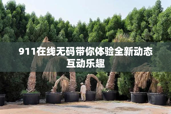 911在线无码带你体验全新动态互动乐趣