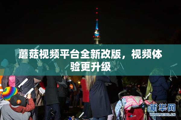 蘑菇视频平台全新改版，视频体验更升级