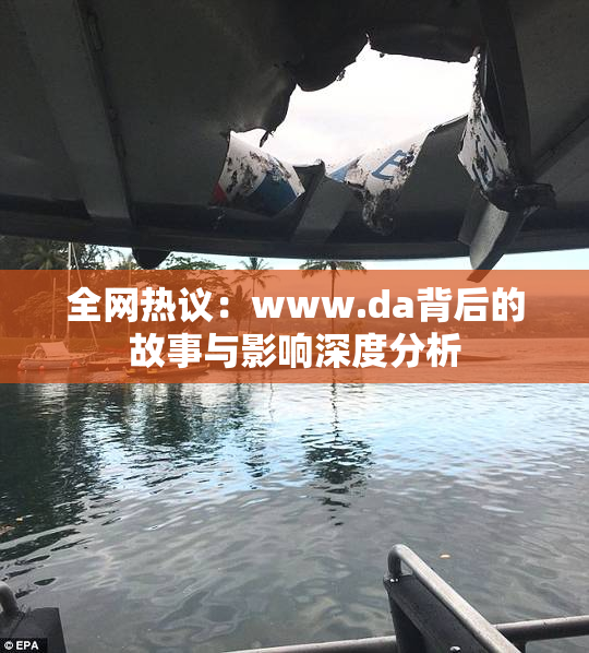 全网热议：www.da背后的故事与影响深度分析