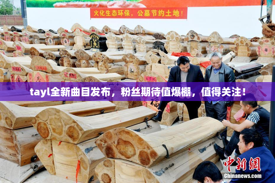 tayl全新曲目发布，粉丝期待值爆棚，值得关注！