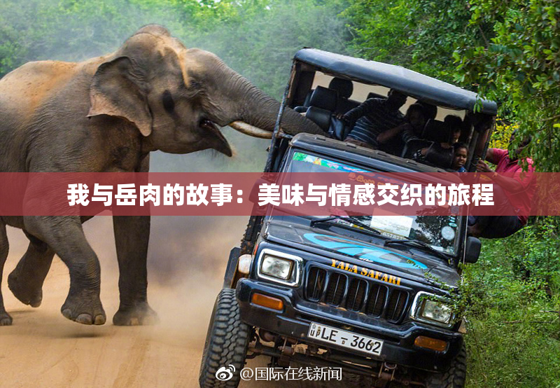 我与岳肉的故事：美味与情感交织的旅程