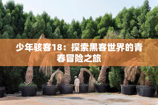 少年骇客18：探索黑客世界的青春冒险之旅