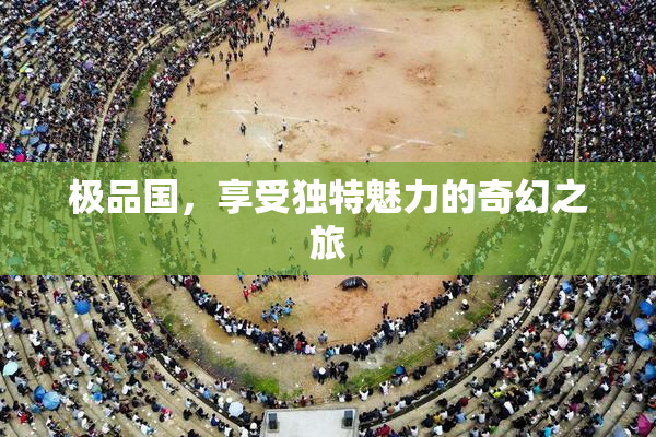 极品国，享受独特魅力的奇幻之旅