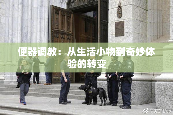 便器调教：从生活小物到奇妙体验的转变