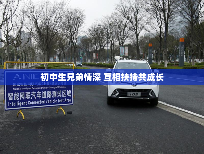 初中生兄弟情深 互相扶持共成长