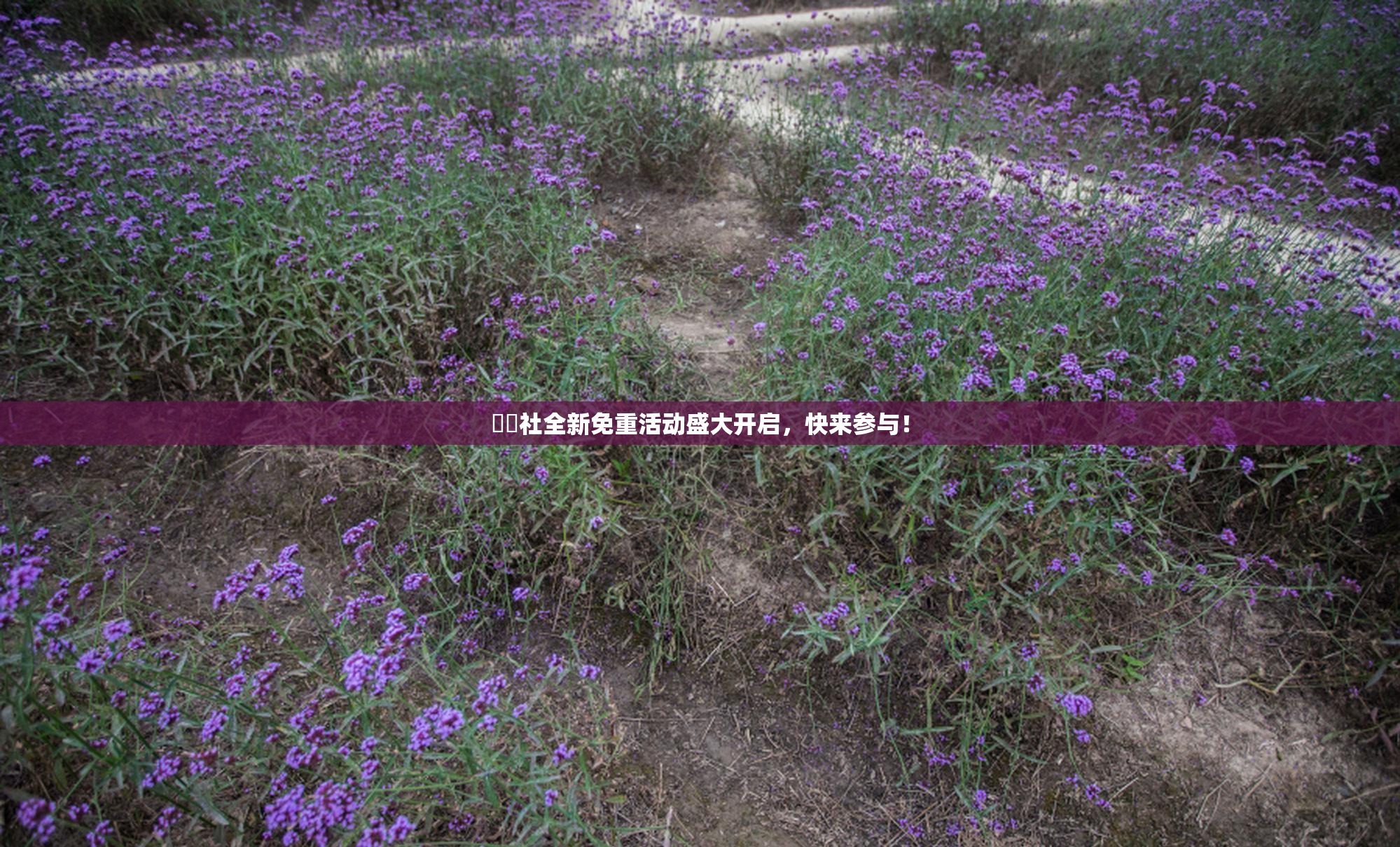 擼擼社全新免重活动盛大开启，快来参与！