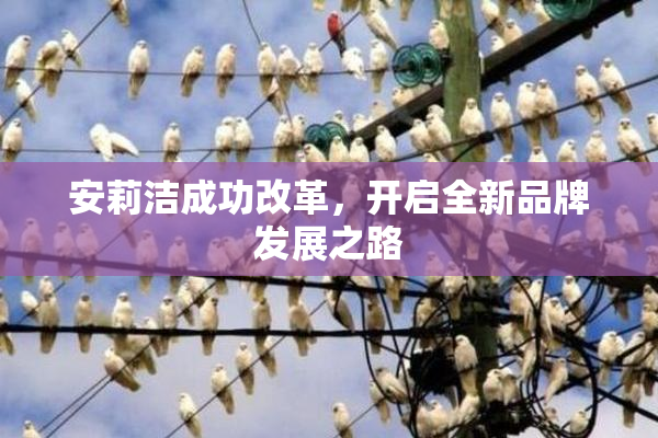 安莉洁成功改革，开启全新品牌发展之路